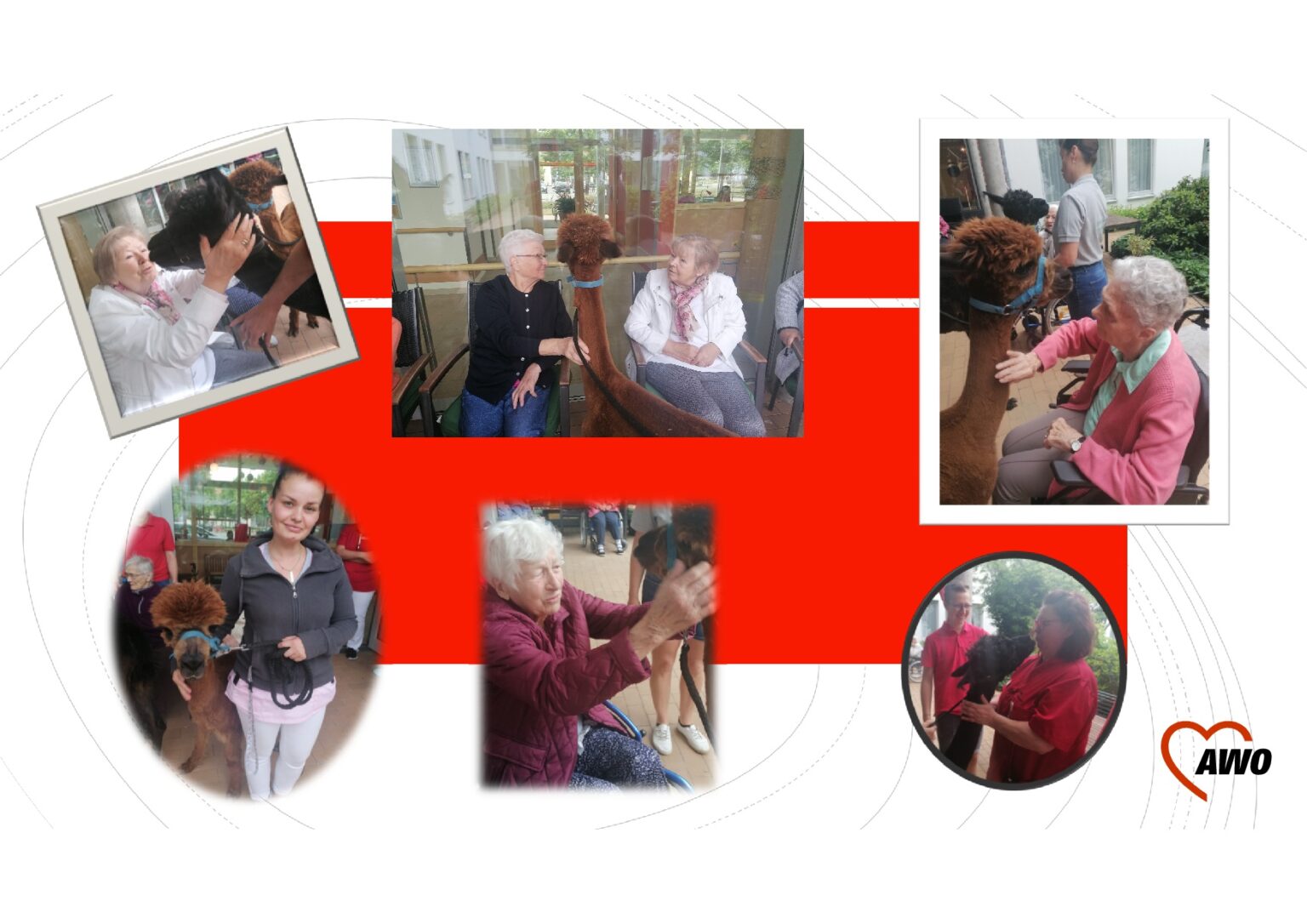 Tierischer Besuch | AWO